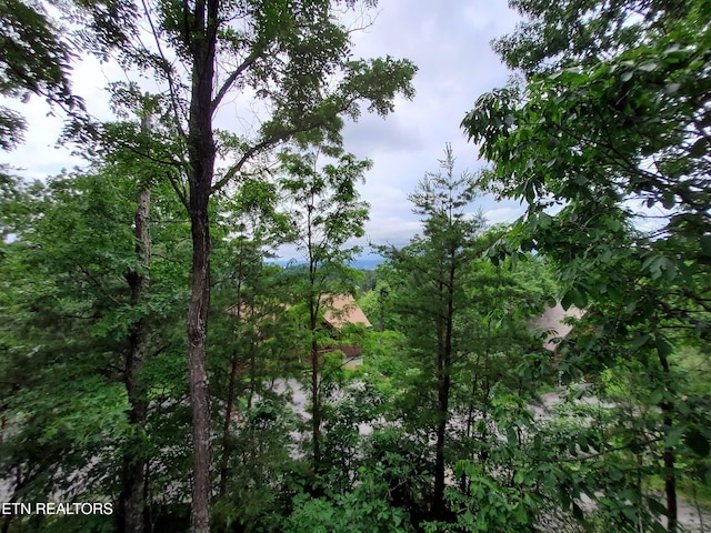 2859 Eagle Crest Way, Sevierville, TN 37876 - view of wooded area
