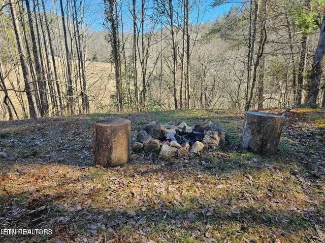 6131 Happy Valley Loop, Tallassee, TN 37878 - view of yard featuring a fire pit