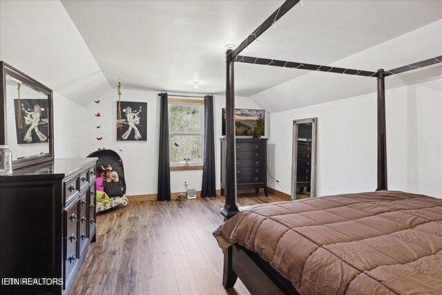 6131 Happy Valley Loop, Tallassee, TN 37878 - bedroom with lofted ceiling, baseboards, and wood finished floors
