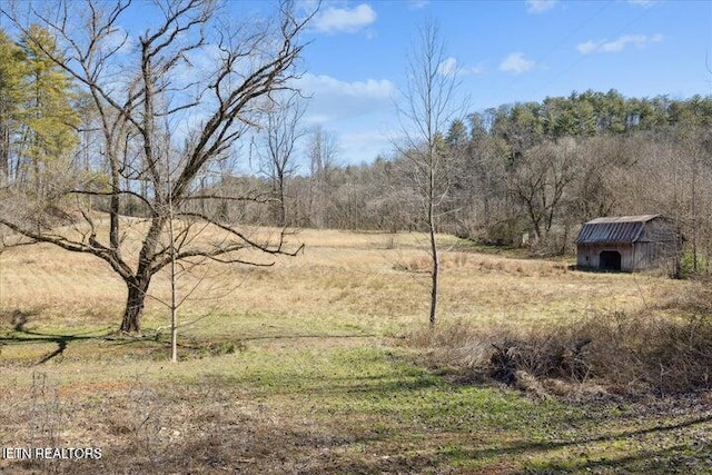 6131 Happy Valley Loop, Tallassee, TN 37878 - view of yard