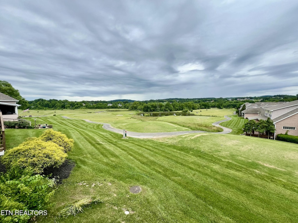 1077 Creekside Village Way, Seymour, TN 37865 - view of grassy yard