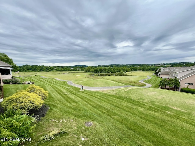 1077 Creekside Village Way, Seymour, TN 37865 - view of grassy yard