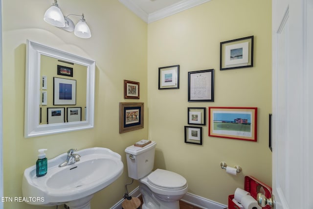1077 Creekside Village Way, Seymour, TN 37865 - bathroom with a sink, ornamental molding, baseboards, and toilet