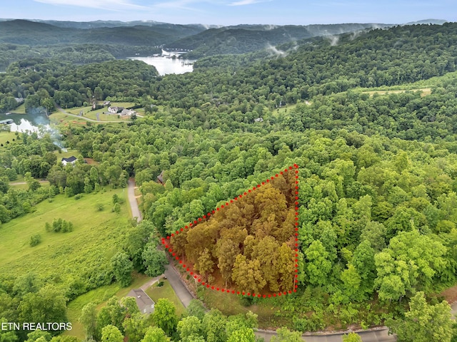 98 Pinnacle Pointe Way, Sharps Chapel, TN 37866
