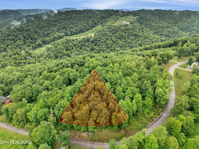 98 Pinnacle Pointe Way, Sharps Chapel, TN 37866