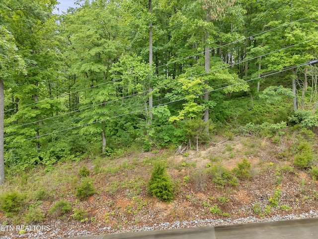 98 Pinnacle Pointe Way, Sharps Chapel, TN 37866
