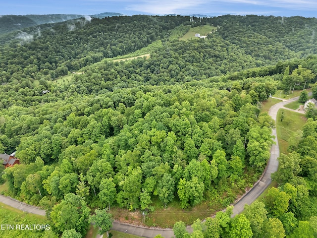 98 Pinnacle Pointe Way, Sharps Chapel, TN 37866