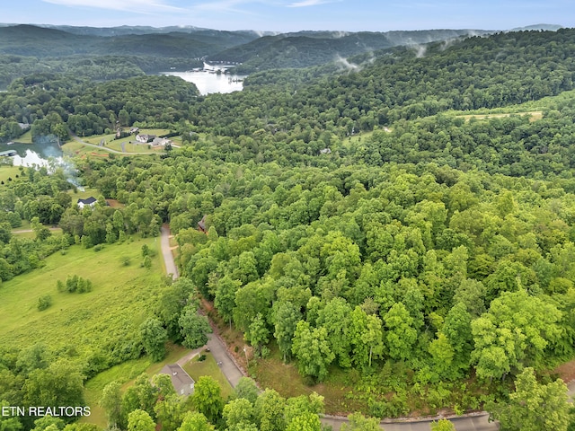 98 Pinnacle Pointe Way, Sharps Chapel, TN 37866