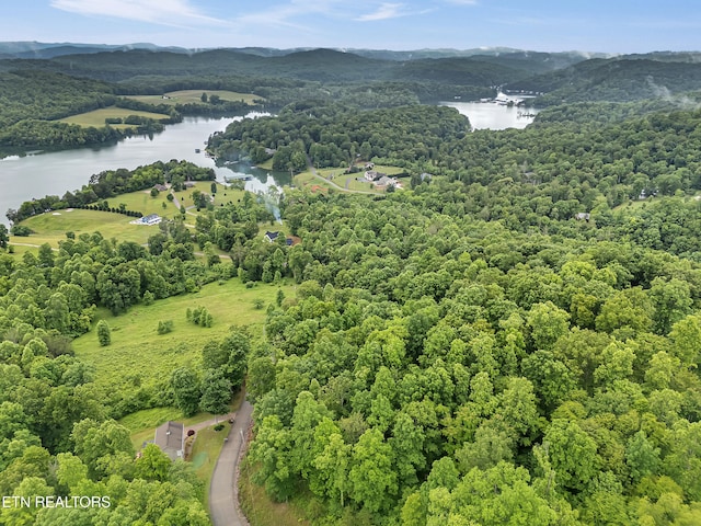98 Pinnacle Pointe Way, Sharps Chapel, TN 37866