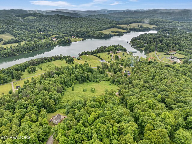98 Pinnacle Pointe Way, Sharps Chapel, TN 37866