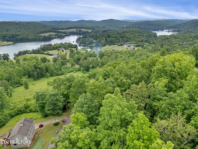 98 Pinnacle Pointe Way, Sharps Chapel, TN 37866