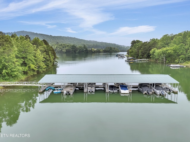 98 Pinnacle Pointe Way, Sharps Chapel, TN 37866