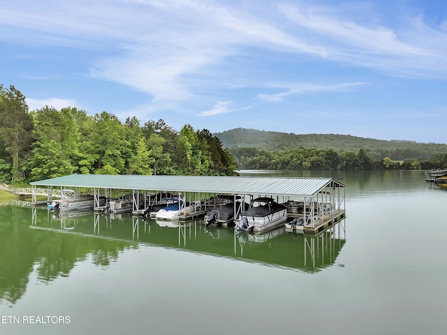 98 Pinnacle Pointe Way, Sharps Chapel, TN 37866