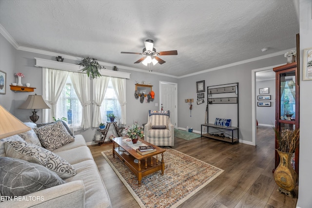 235 Neely Dr, New Tazewell, TN 37825 - living room featuring ceiling fan, wood finished floors, ornamental molding, a textured ceiling, and baseboards