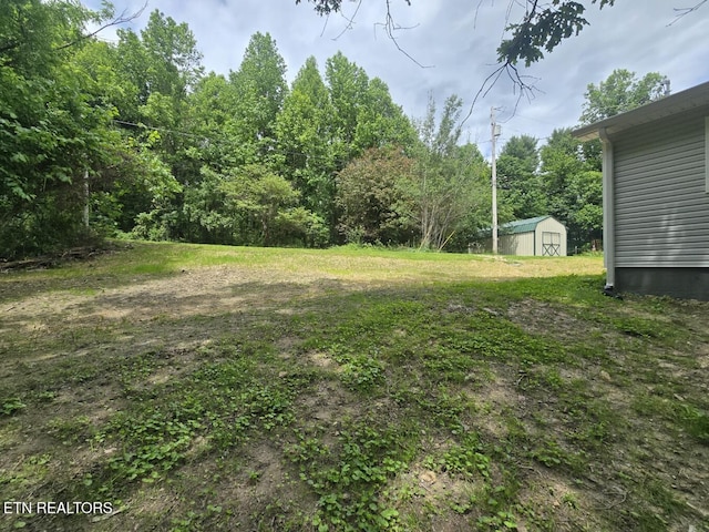 678 Skyline Dr, Oneida, TN 37841 - view of yard