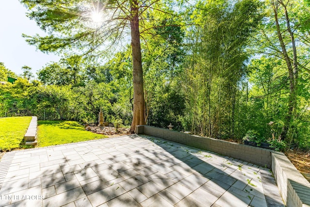 3811 Taliluna Ave, Knoxville, TN 37919 - photo 12