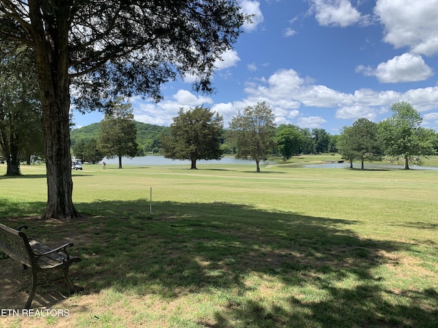 120 Lakeside Dr, Kingston, TN 37763 - view of property's community featuring a water view and a lawn
