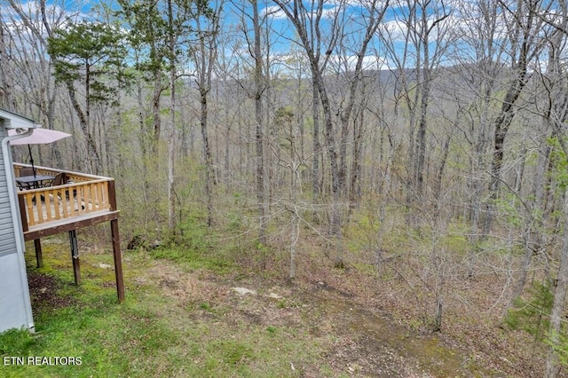 108 W Bobcat Ln, Wilder, TN 38589 - view of yard with a deck and a wooded view