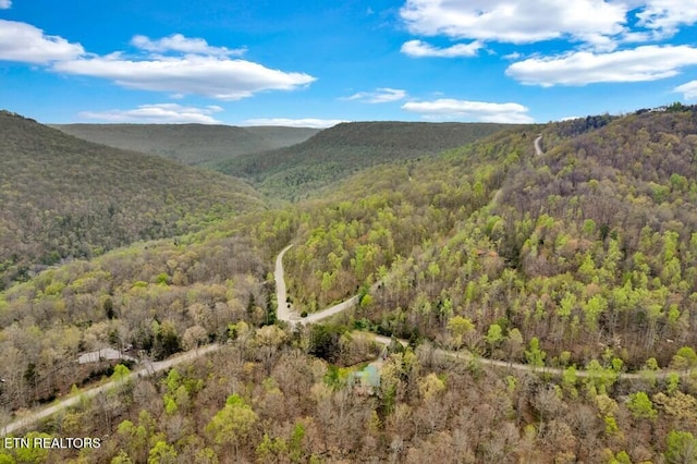 108 W Bobcat Ln, Wilder, TN 38589 - view of mountain background with a forest
