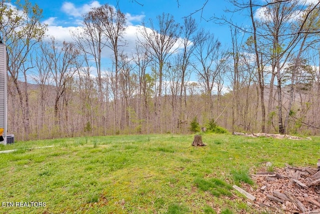 108 W Bobcat Ln, Wilder, TN 38589 - view of green lawn featuring a forest view