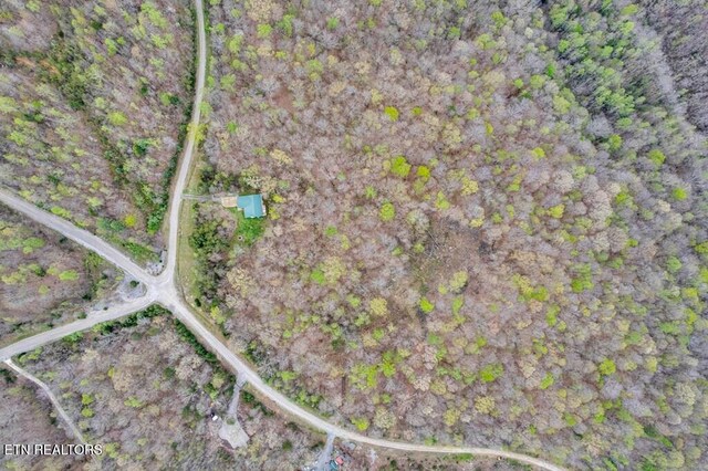 108 W Bobcat Ln, Wilder, TN 38589 - aerial view of property's location