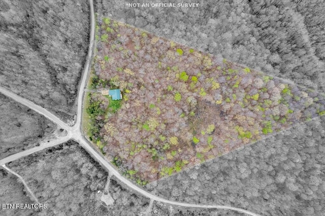 108 W Bobcat Ln, Wilder, TN 38589 - aerial view