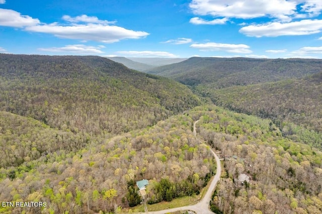 108 W Bobcat Ln, Wilder, TN 38589 - mountain view with a forest