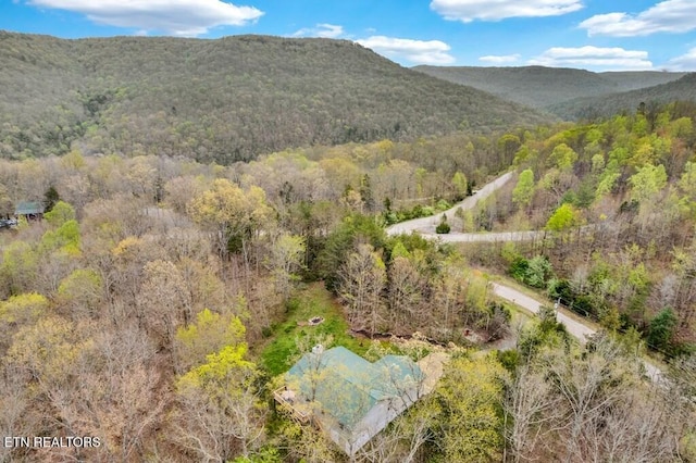 108 W Bobcat Ln, Wilder, TN 38589 - view of mountain background featuring a heavily wooded area