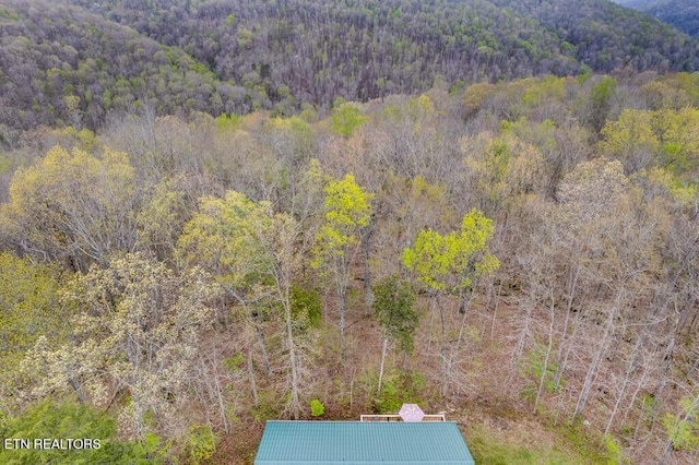 108 W Bobcat Ln, Wilder, TN 38589 - view of subject property featuring a heavily wooded area