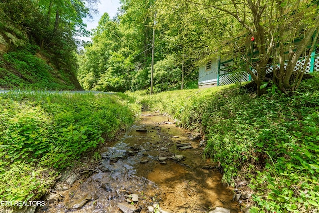 4349 Locust Ridge Rd, Sevierville, TN 37876 - view of yard featuring a view of trees