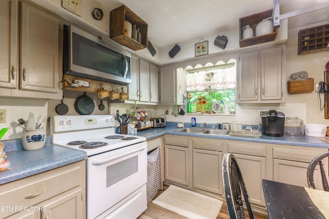 4349 Locust Ridge Rd, Sevierville, TN 37876 - kitchen featuring electric range, stainless steel microwave, a sink, and wood finished floors