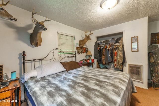 4349 Locust Ridge Rd, Sevierville, TN 37876 - carpeted bedroom featuring heating unit, a closet, a textured ceiling, and a walk in closet