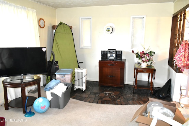 106 Walnut St, New Tazewell, TN 37825 - living area featuring radiator heating unit and carpet flooring