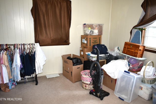106 Walnut St, New Tazewell, TN 37825 - bedroom featuring carpet and wooden walls