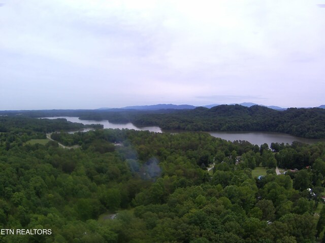 165 Lake Brook Dr, Vonore, TN 37885 - photo 36