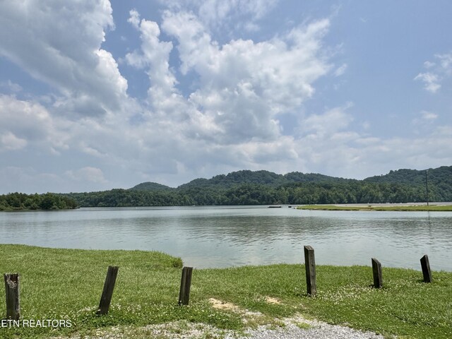 165 Lake Brook Dr, Vonore, TN 37885 - photo 40