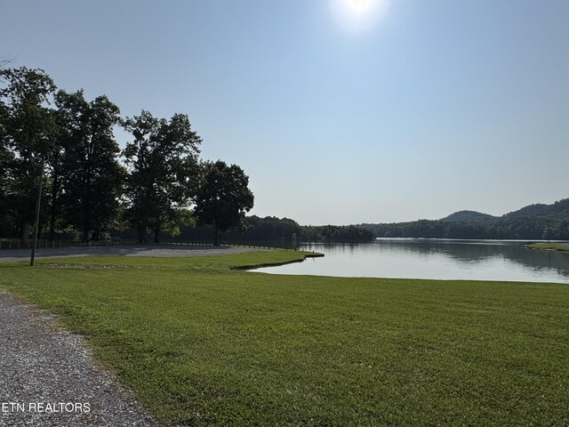 165 Lake Brook Dr, Vonore, TN 37885 - photo 38