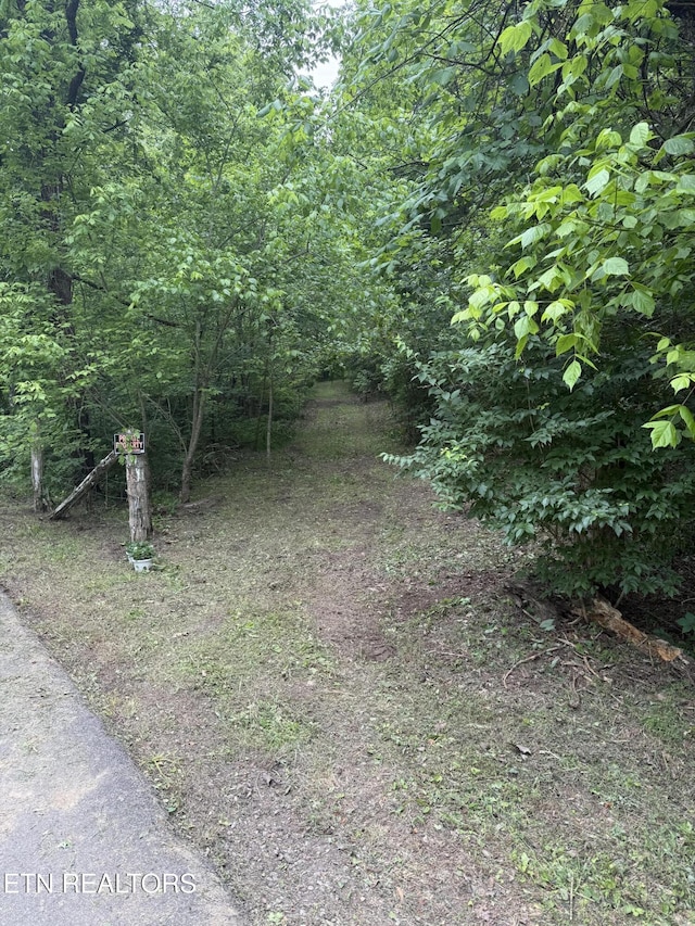 Noslen Rd, Knoxville, TN 37924 - photo 1