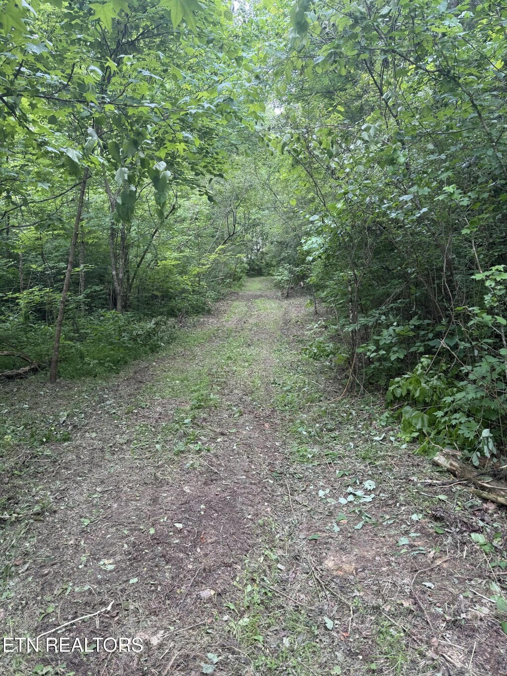 Noslen Rd, Knoxville, TN 37924 - photo 2