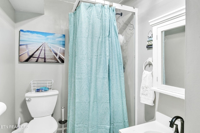 6608 Hickory Way Ln, Knoxville, TN 37918 - full bath featuring toilet, a sink, and a shower with shower curtain
