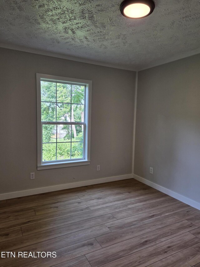 5610 Radnor Rd, Knoxville, TN 37918 - photo 22