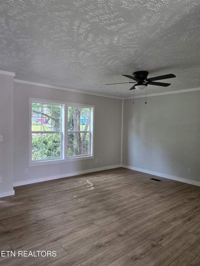 5610 Radnor Rd, Knoxville, TN 37918 - photo 6