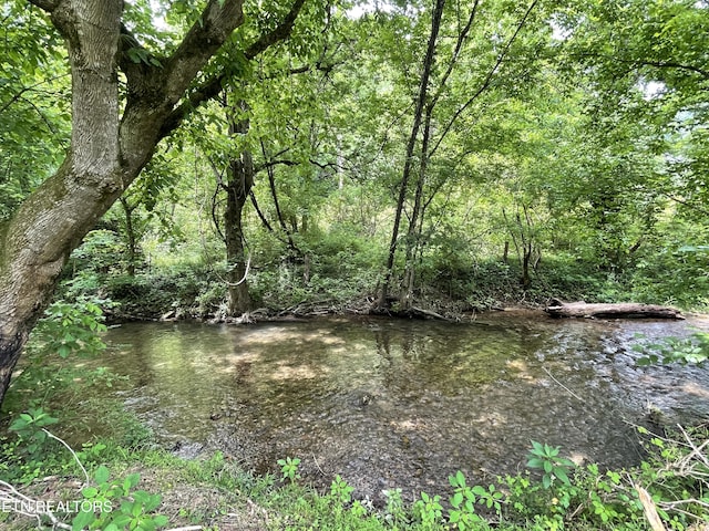 5422 Cricket Ln, Walland, TN 37886 - water view featuring a heavily wooded area