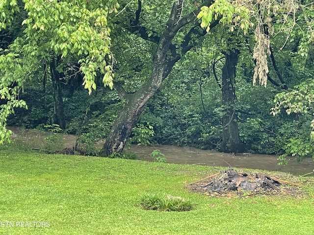 5422 Cricket Ln, Walland, TN 37886 - view of grassy yard