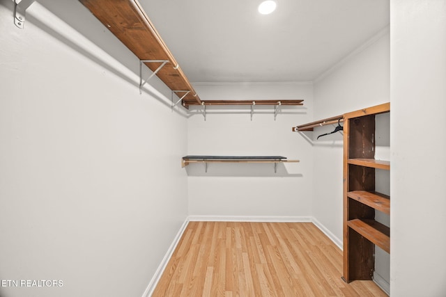 1036 Hawthorn Dr, Cookeville, TN 38501 - walk in closet with light wood-style flooring