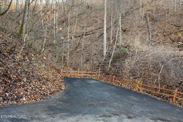 4320 Carolina Cove Way, Pigeon Forge, TN 37863 - photo 38