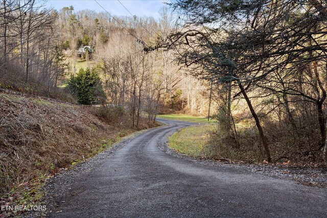 4320 Carolina Cove Way, Pigeon Forge, TN 37863 - photo 39