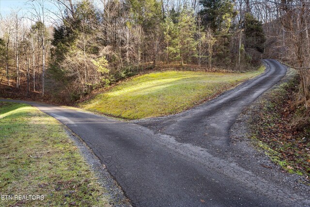 4320 Carolina Cove Way, Pigeon Forge, TN 37863 - photo 40