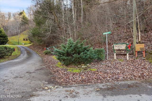 4320 Carolina Cove Way, Pigeon Forge, TN 37863 - photo 42