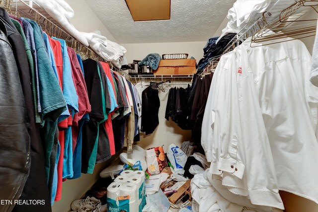 692 Shadywood Ln, Knoxville, TN 37923 - view of spacious closet